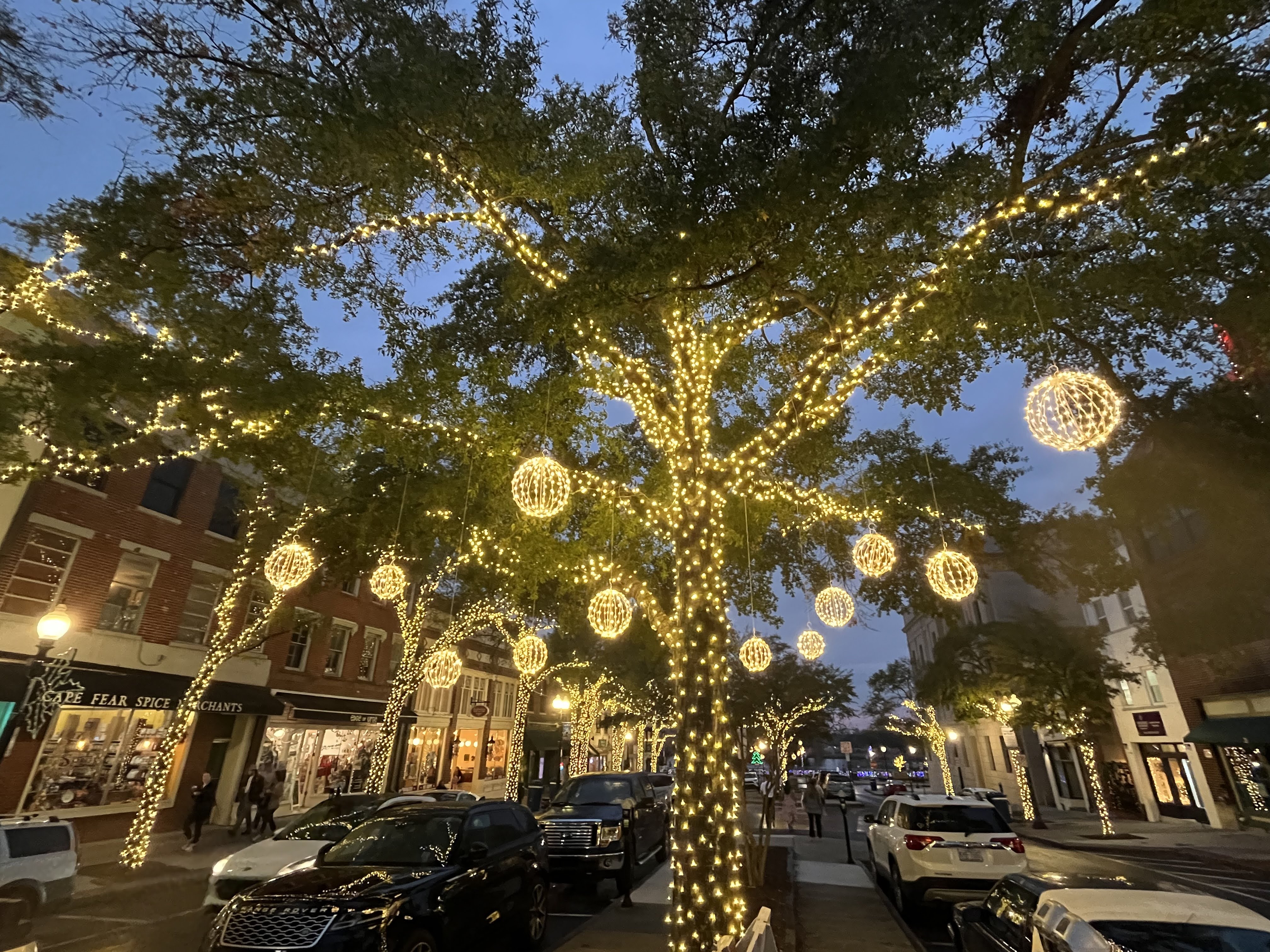 DSSE_TreeLights