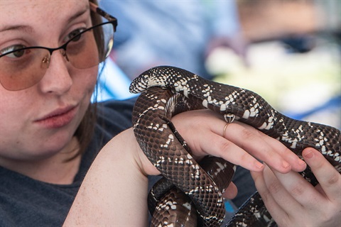 Woman holding a snake.jpg