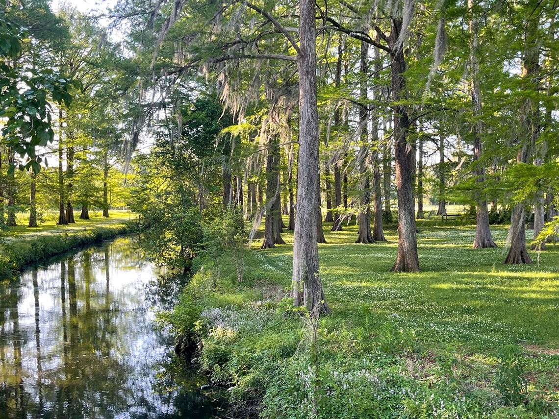 Wallace-Park.jpg