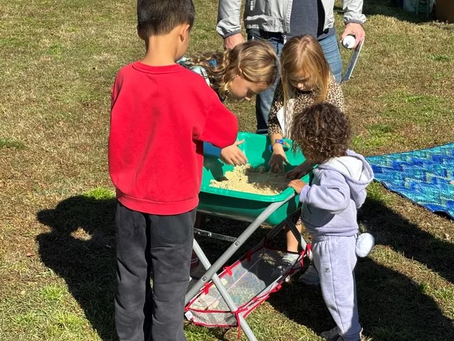 Screenshot 2025-11-04 143445.jpg