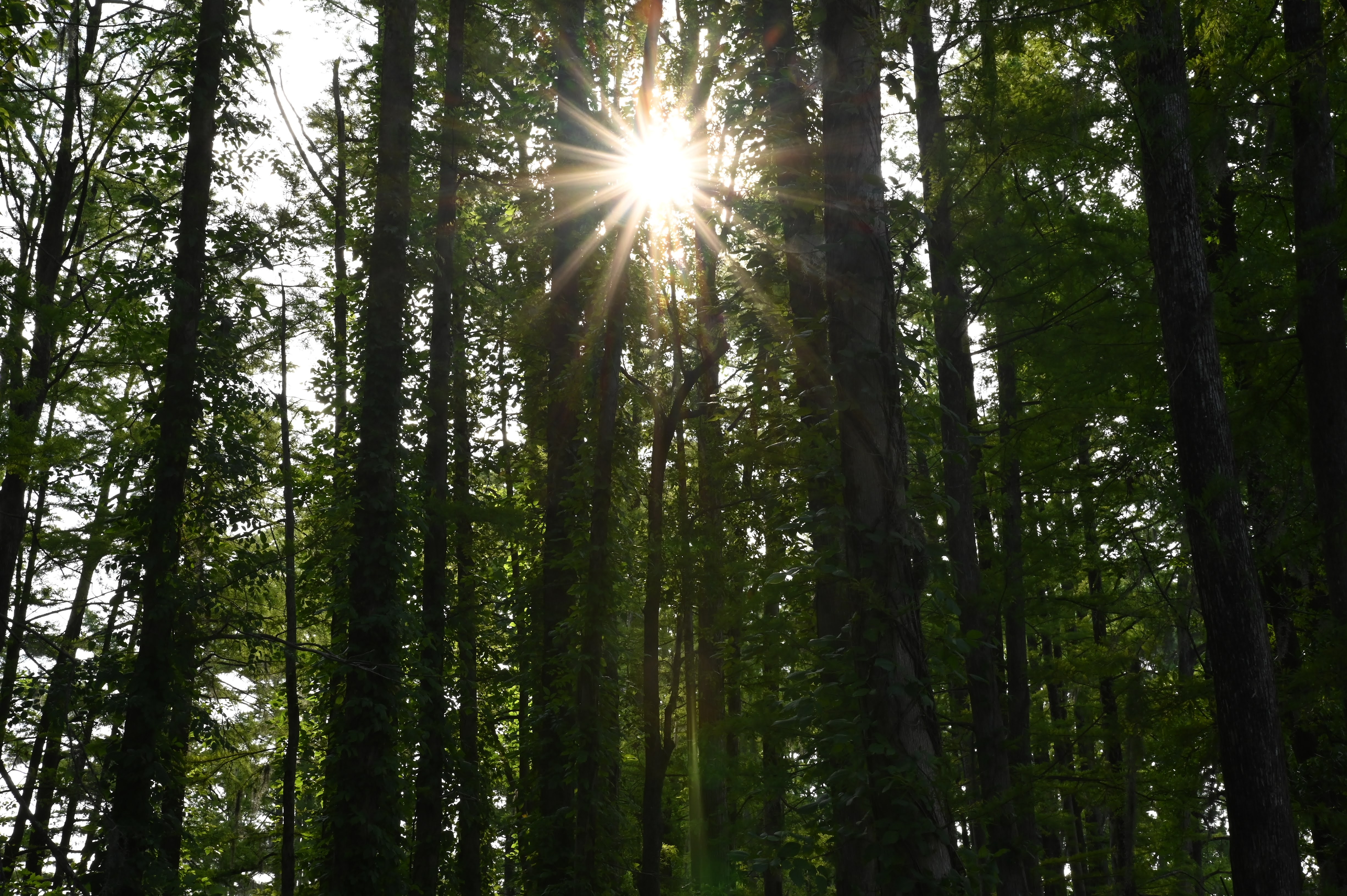 DSC_9260.jpg
