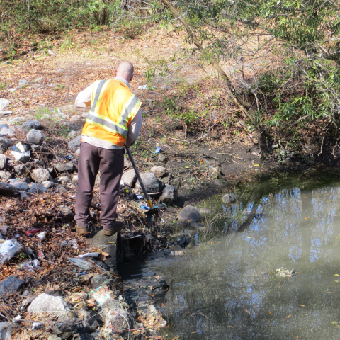 Worker cleaning litter from a wet pond.