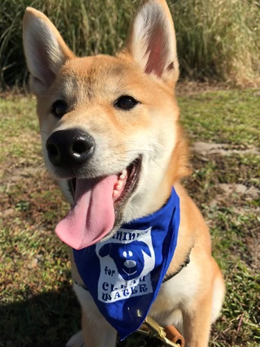 Hiro