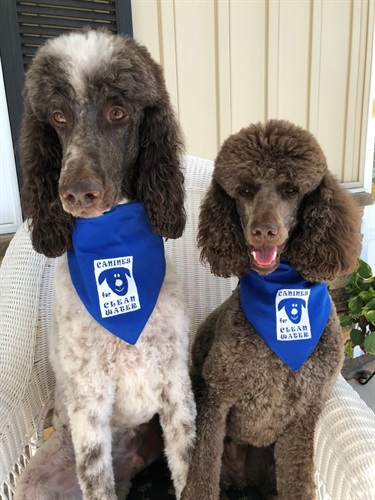 Henry & Tucker