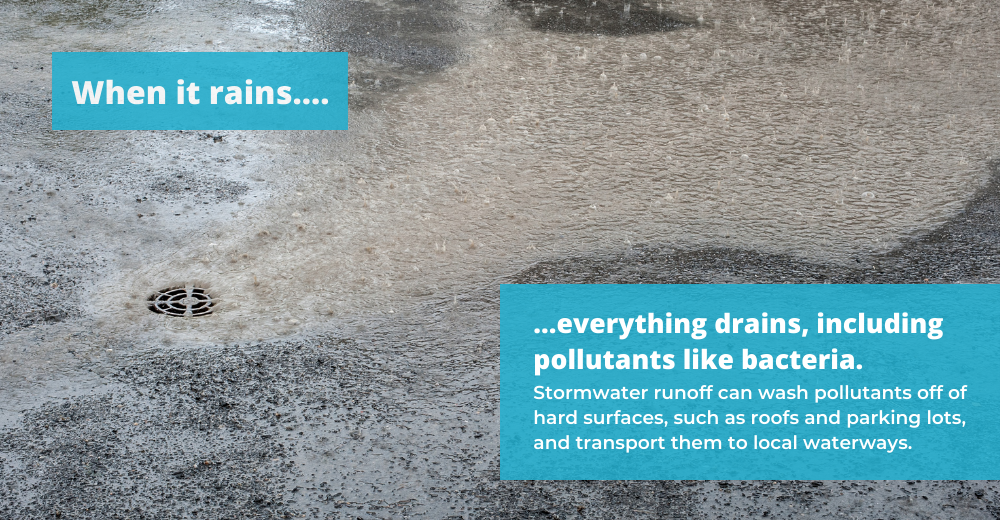 Heal Our Waterways