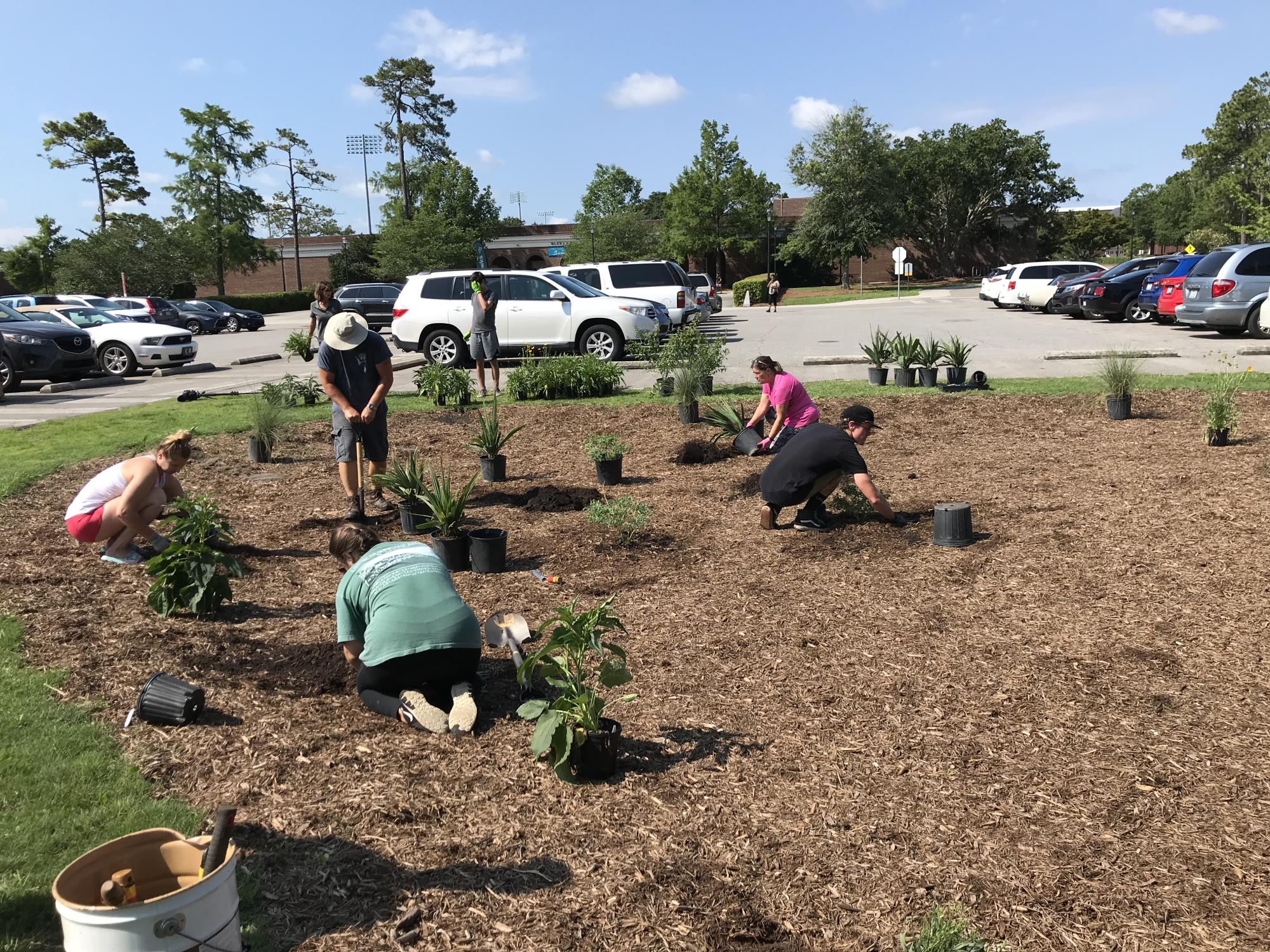 UNCW-Planting-20.jpg