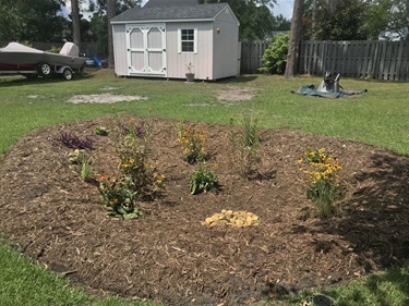 Rain Garden