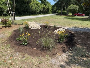 Rain Garden