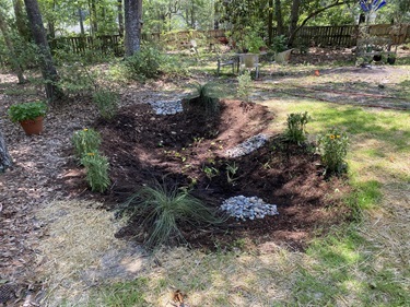 Rain Garden