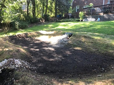 Rain Garden
