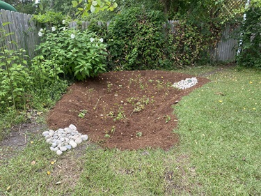 Rain Garden