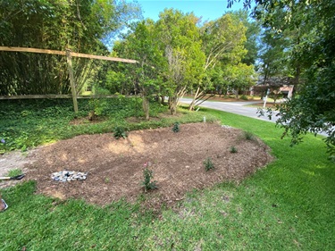 Rain Garden