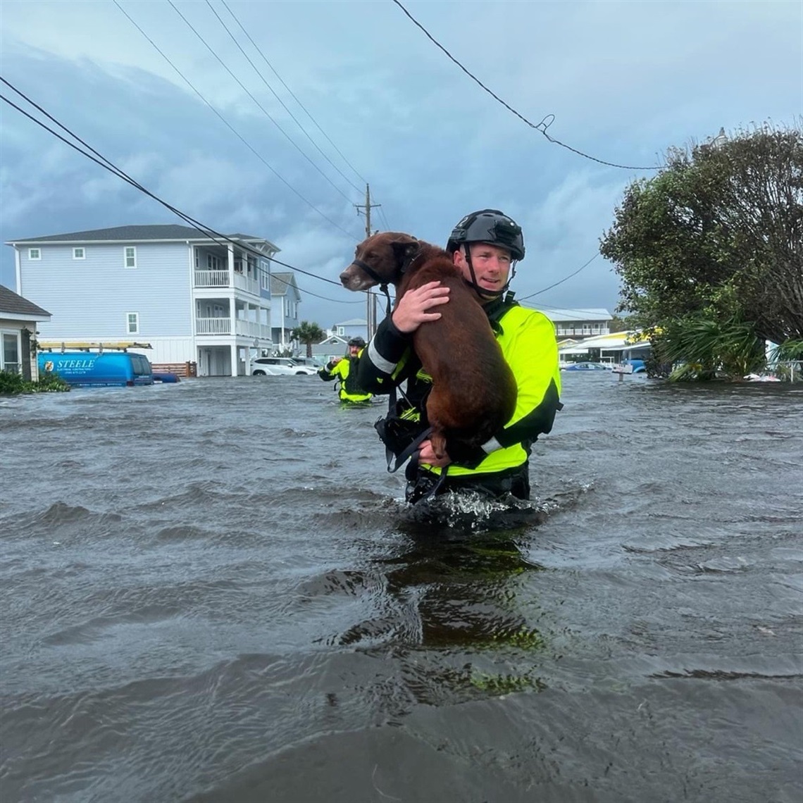 Firefighter carrying a dog through flooded waters