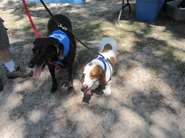 2 Pups