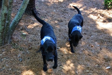 Bettie and Remington