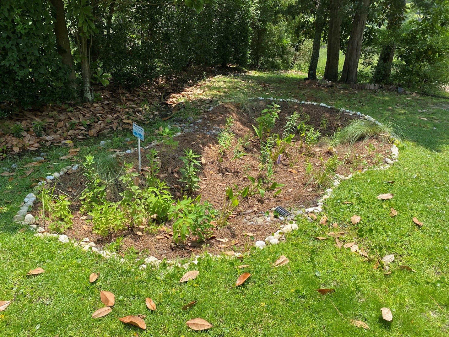 A rain garden filled with plants and outlined with river rock.